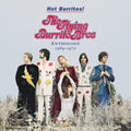 Flying Burrito Brothers - Anthology 1969 - 1972 (CD)