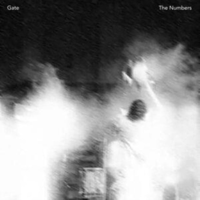 Gate - Numbers (Vinyl) (US Import)