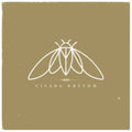 Cicada Rhythm - Cicada Rhythm (DL Code) (Vinyl) (US Import)