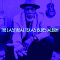 Various Artists - Last Real Texas Blues Album (Vinyl) (US Import)