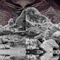 All Them Witches - Dying Surfer Meets His Maker (DL Code) (Vinyl) (US Import)