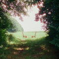 Ratboys - Singin To An Empty Chair (CD)