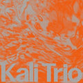 Kali Trio - Playful Abstract (Vinyl) (US Import)