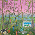 Caddywhompus - Odd Hours (Vinyl) (US Import)