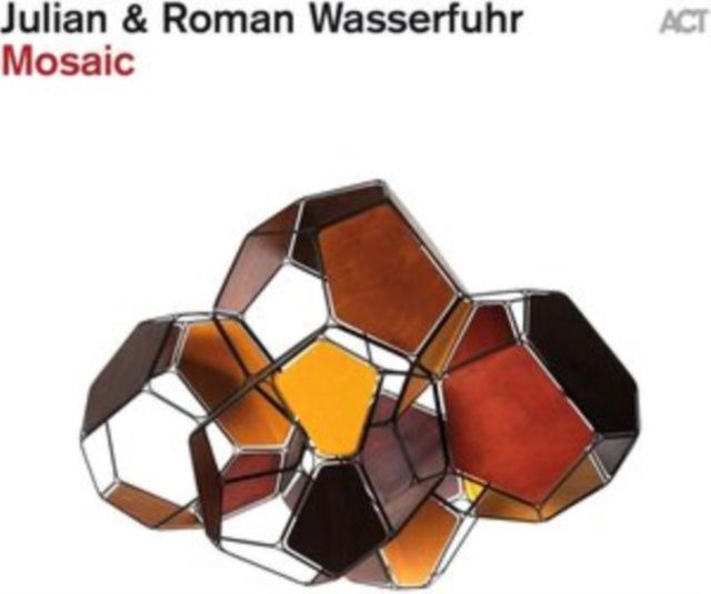 Julian & Roman Wasserfuhr - Mosaic (Vinyl) (US Import)