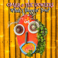 Omar & The Howlers - What's Buggin' You? (CD)