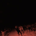 Bambara - Shadow On Everything (Vinyl) (US Import)