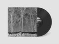 Pile - Sunshine & Balance Beams (Vinyl) (US Import)
