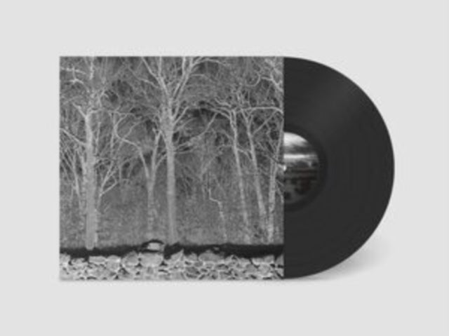 Pile - Sunshine & Balance Beams (Vinyl) (US Import)