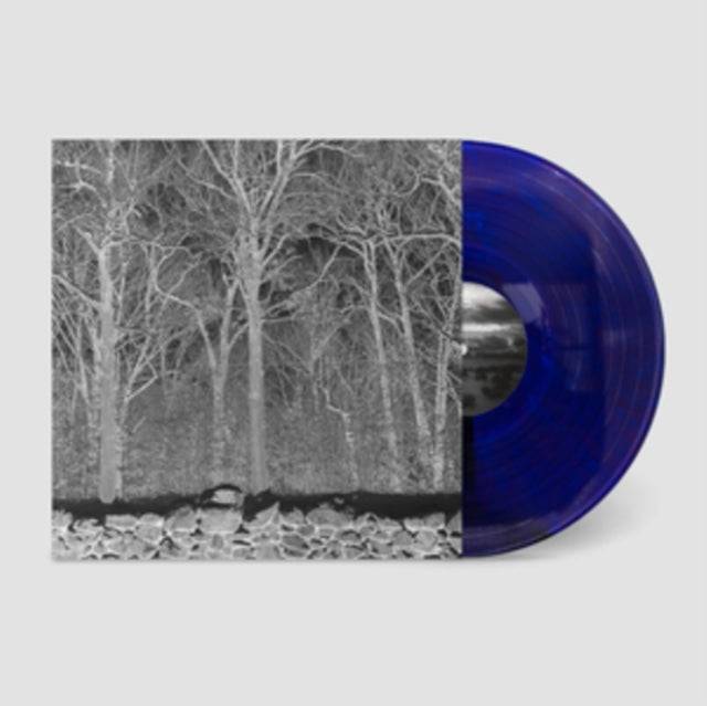 Pile - Sunshine & Balance Beams (Transparent Mix Boris Purple Vinyl) (I) (Vinyl) (US Import)