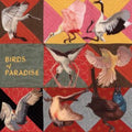 Thomas Dollbaum - Birds Of Paradise (Vinyl) (US Import)