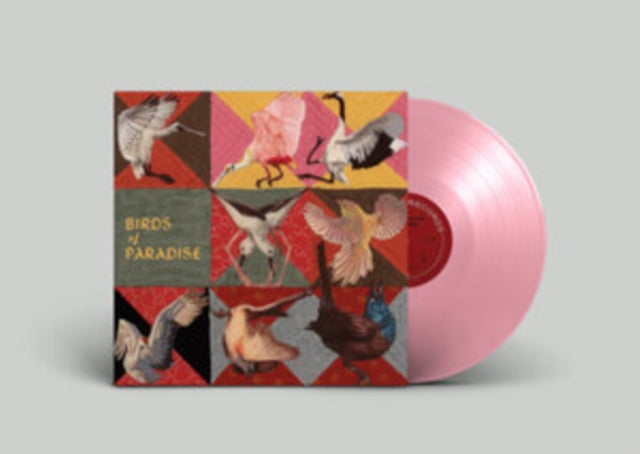 Thomas Dollbaum - Birds Of Paradise (Roseate Spoonbill Pink Vinyl) (Vinyl) (US Import)