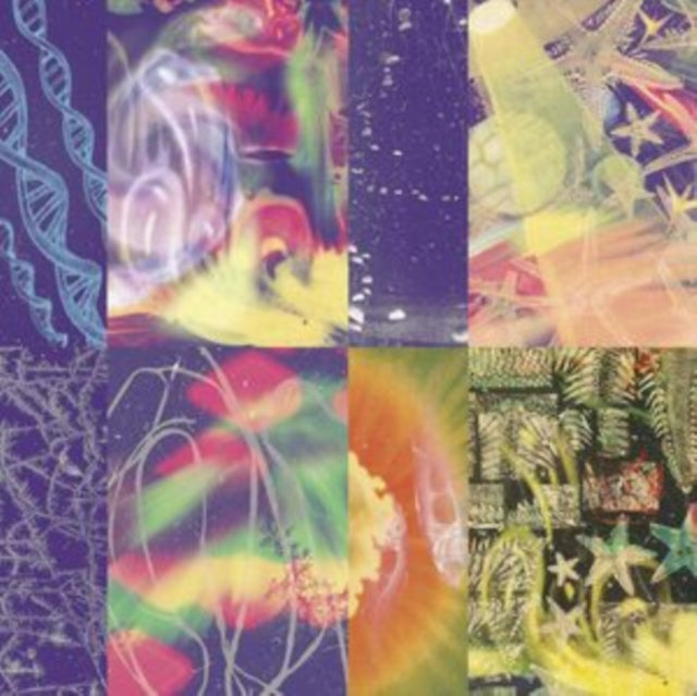Nap Eyes - Neon Gate (CD)