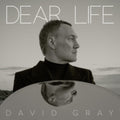 David Gray - Dear Life (Vinyl) (US Import)