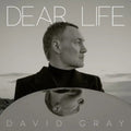 David Gray - Dear Life (Coloured Vinyl) (Vinyl) (US Import)