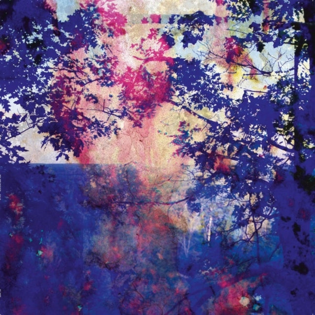 Roland Bucher - Viaje (Vinyl) (US Import)
