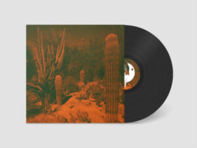 Knowler,Cameron & Eli Winter - Anticipation (Vinyl) (US Import)