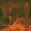 Knowler,Cameron & Eli Winter - Anticipation (Purple Vinyl) (I) (Vinyl) (US Import)