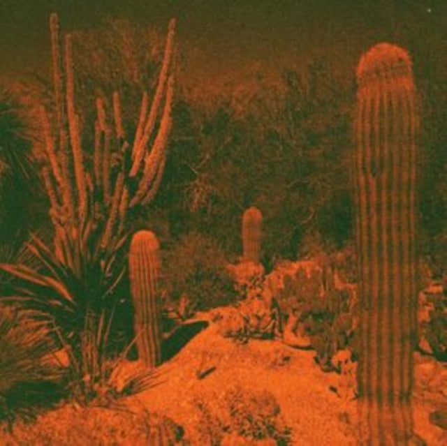 Knowler,Cameron & Eli Winter - Anticipation (Purple Vinyl) (I) (Vinyl) (US Import)