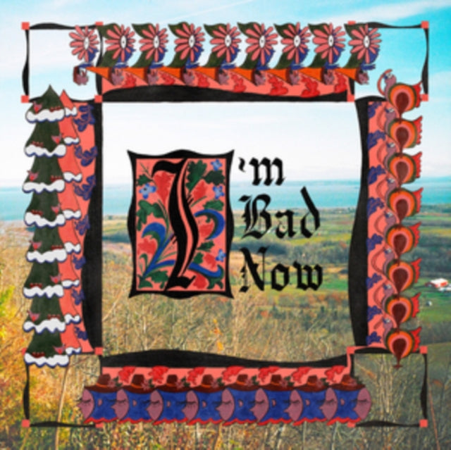 Nap Eyes - I'm Bad Now (Vinyl) (US Import)