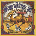 It's A Beautiful Day - Choice Quality Stuff/Anytime (Purple Vinyl) (Vinyl) (US Import)