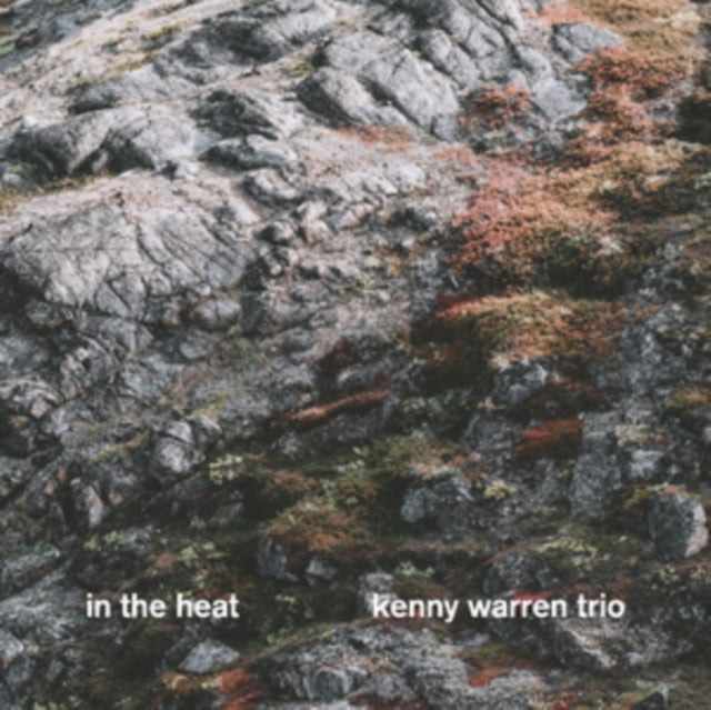 Kenny Trio Warren - In The Heat (Vinyl) (US Import)