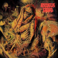Escuela Grind - Dreams On Algorithms (CD)