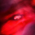 Saffronkeira & Siavash Amini - Faded Orbit (Red Vinyl/180g/DL Card) (I) (Vinyl) (US Import)