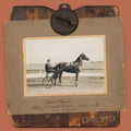 Limblifter - Little Payne (Vinyl) (US Import)