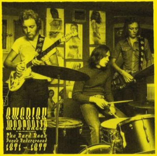 Various Artists - Swedish Meatballs - The Psychedelic Hard Rock Underground 1971-1977 (Vinyl) (US Import)