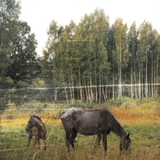 Pianos Become The Teeth - Old Pride (Forest Green Vinyl) (Vinyl) (US Import)