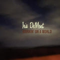 Iris Dement - Workin On A World (CD)
