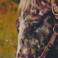 Spirit Of The Beehive - Pleasure Suck (Transparent Orange Vinyl) (Vinyl) (US Import)
