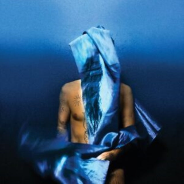 Devendra Banhart - Flying Wig (CD)