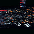 Bernocchi,Eraldo & Hoshiko Yamane - Sabi (Transparent Orange Cloudy Vinyl/180g) (I) (Vinyl) (US Import)