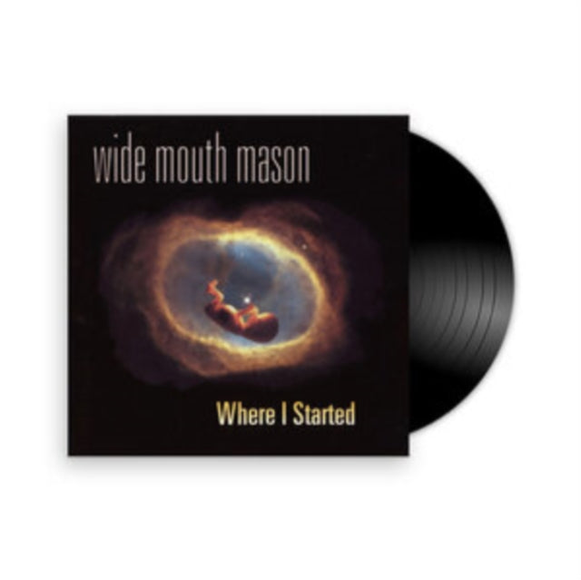 Wide Mouth Mason - Where I Started (Vinyl) (US Import)