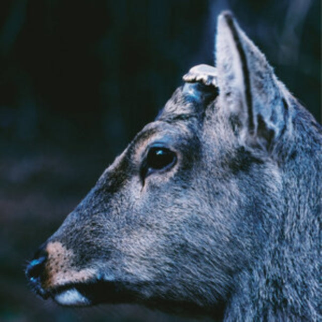 Toe - Book About My Idle Plot On A Vague Anxiety (Deer Glisten Blue Vinyl) (Vinyl) (US Import)