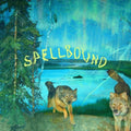 Boyscott - Spellbound (Green/Yellow Aurora Vinyl) (Vinyl) (US Import)