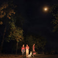 Ophelias - Spring Grove (Translucent Forest Green Vinyl) (I) (Vinyl) (US Import)