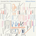 Chiu,Jeremiah & Marta Sofia Honer - Different Rooms (Vinyl) (US Import)