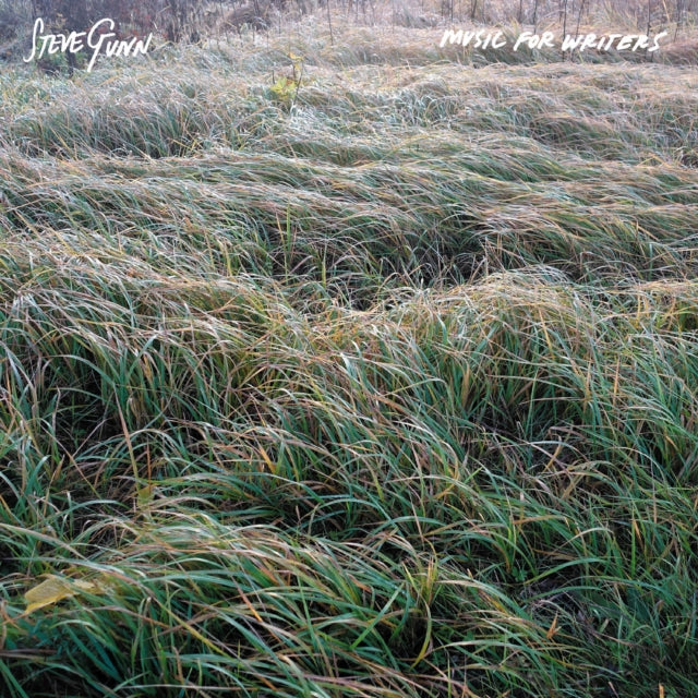 Steve Gunn - Music For Writers (Opaque Orange Vinyl/160g) (Vinyl) (US Import)