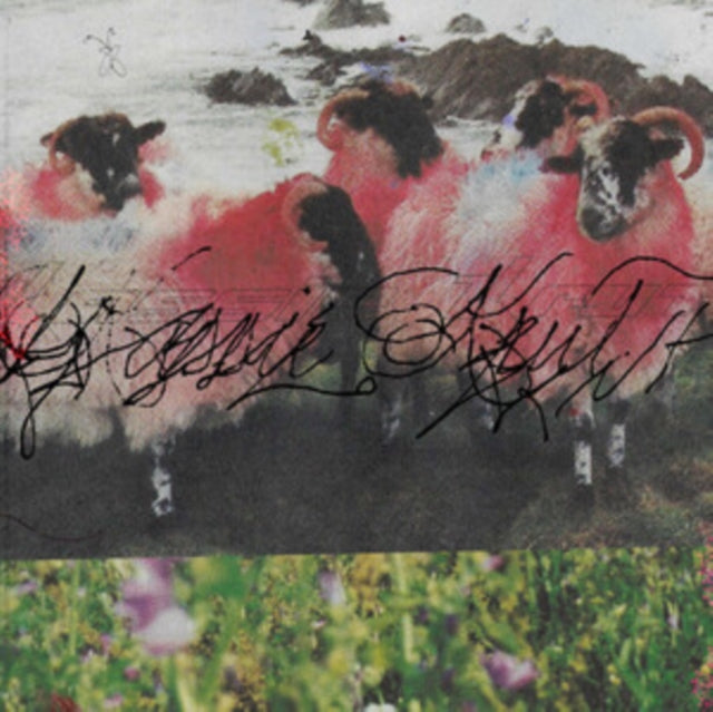 Kassie Krut - Kassie Krut (Deluxe) (Vinyl) (US Import)