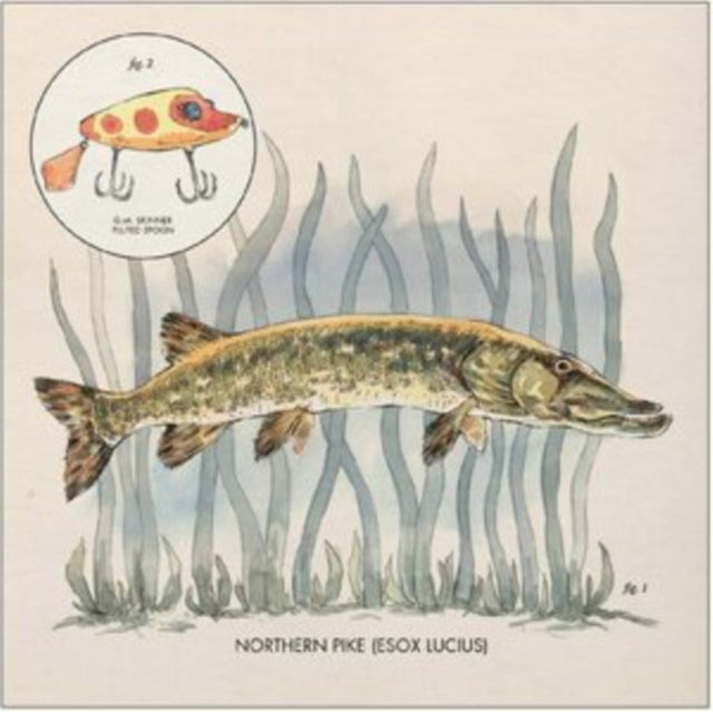 Nick Lowe - Lay It On Me (DL Card) (Vinyl) (US Import)