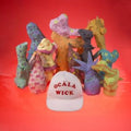 Gobbinjr - Ocala Wick (CD)