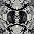 Adam Rudolph - Sonic Mandala Go: Organic Orchestra (CD)