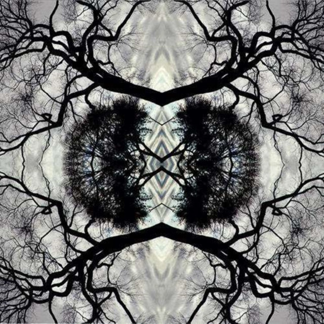 Adam Rudolph - Sonic Mandala Go: Organic Orchestra (CD)