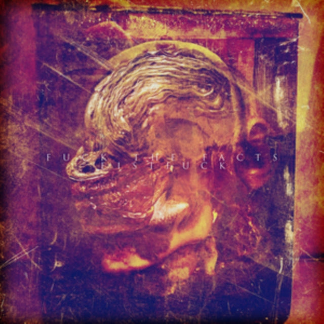 Fuck The Facts/Fistfuck - Split CD (CD)