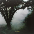 Owen - At Home With Owen (Vinyl) (US Import)