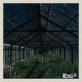 Foxing - Dealer (Vinyl) (US Import)