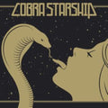Cobra Starship - While The City Sleeps We Rule The Streets (Vinyl) (US Import)